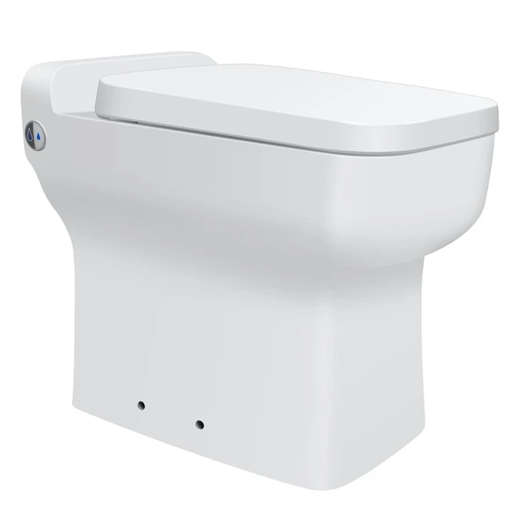 floor-mounted-ceramic-macerator-toilet58ff9332-ba36-4f7d-8053-432d77622b2d